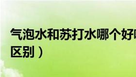 气泡水和苏打水哪个好喝（气泡水和苏打水的区别）