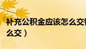 补充公积金应该怎么交钱（补充公积金应该怎么交）