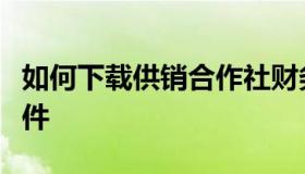 如何下载供销合作社财务报表网络信息系统软件