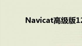 Navicat高级版12 0 29注册码