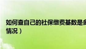 如何查自己的社保缴费基数是多少（如何查自己的社保缴纳情况）