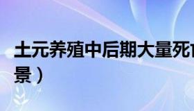 土元养殖中后期大量死亡的原因（土元养殖前景）