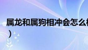 属龙和属狗相冲会怎么样（属龙和属狗做生意）