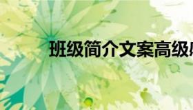 班级简介文案高级感（班级简介）