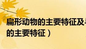 扁形动物的主要特征及与人类关系（扁形动物的主要特征）