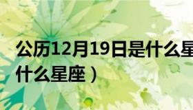 公历12月19日是什么星座（公历12月19日是什么星座）