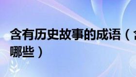 含有历史故事的成语（含有历史故事的成语有哪些）