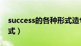 success的各种形式造句（success的各种形式）