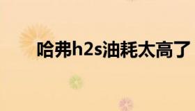 哈弗h2s油耗太高了（哈弗h2s油耗）