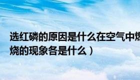 选红磷的原因是什么在空气中燃烧（红磷在氧气和空气中燃烧的现象各是什么）