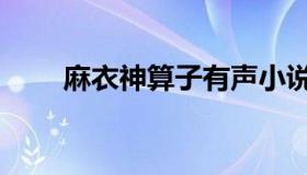 麻衣神算子有声小说（麻衣神算子）