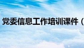 党委信息工作培训课件（党委信息工作总结）