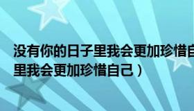 没有你的日子里我会更加珍惜自己什么电影（没有你的日子里我会更加珍惜自己）