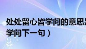 处处留心皆学问的意思是什么呢（处处留心皆学问下一句）