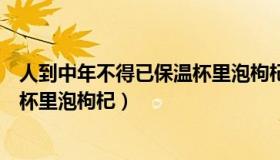 人到中年不得已保温杯里泡枸杞文案（人到中年不得已保温杯里泡枸杞）