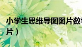 小学生思维导图图片数学（小学生思维导图图片）