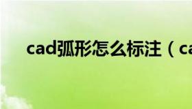 cad弧形怎么标注（cad弧度怎么标注）