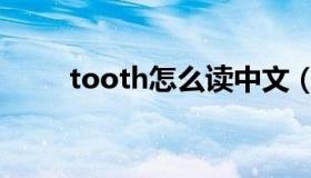 tooth怎么读中文（tooth怎么读）