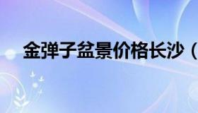 金弹子盆景价格长沙（金弹子盆景价格）