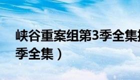 峡谷重案组第3季全集播放（峡谷重案组第3季全集）