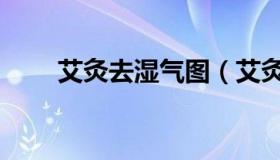 艾灸去湿气图（艾灸去湿气灸哪里）