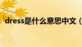 dress是什么意思中文（dress是什么意思）