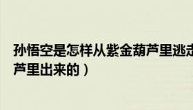 孙悟空是怎样从紫金葫芦里逃走的（孙悟空是怎样从紫金葫芦里出来的）