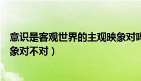 意识是客观世界的主观映象对吗（意识是客观世界的主观映象对不对）