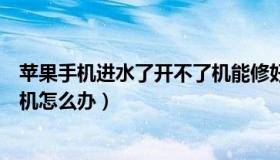 苹果手机进水了开不了机能修好吗（苹果手机进水了开不了机怎么办）