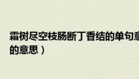 霜树尽空枝肠断丁香结的单句意思（霜树尽空枝肠断丁香结的意思）