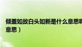 倾盖如故白头如新是什么意思啊（倾盖如故白头如新是什么意思）