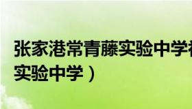 张家港常青藤实验中学初中部（张家港常青藤实验中学）