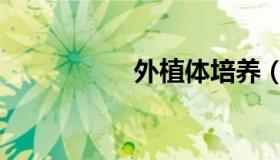 外植体培养（外植体）