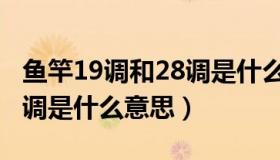 鱼竿19调和28调是什么区别（鱼竿19调和28调是什么意思）