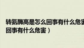 转氨酶高是怎么回事有什么危害会传染吗（转氨酶高是怎么回事有什么危害）