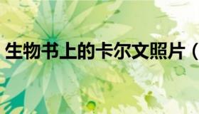 生物书上的卡尔文照片（生物书上的肌肉女）