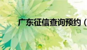 广东征信查询预约（广东征信查询）