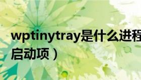 wptinytray是什么进程（wptinytray是什么启动项）