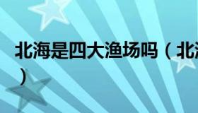 北海是四大渔场吗（北海渔场的世界四大渔场）