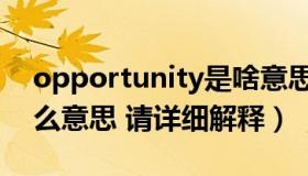 opportunity是啥意思（opportunity是什么意思 请详细解释）