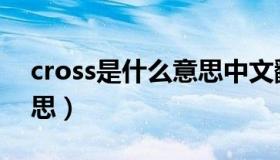 cross是什么意思中文翻译（cross是什么意思）