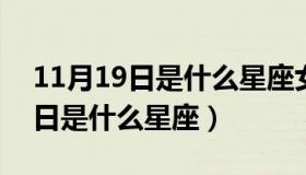 11月19日是什么星座女农历2012（11月19日是什么星座）