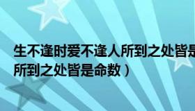 生不逢时爱不逢人所到之处皆是命壁纸（生不逢时爱不逢人所到之处皆是命数）