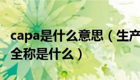 capa是什么意思（生产中capa什么意思 英文全称是什么）