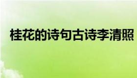 桂花的诗句古诗李清照（桂花的诗句古诗）