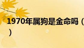 1970年属狗是金命吗（1970年属狗是什么命）