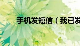 手机发短信（我已发送短信下一步）