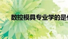 数控模具专业学的是什么（数控模具）