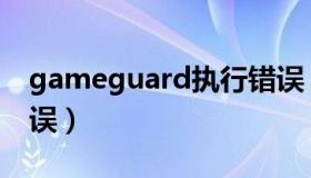 gameguard执行错误（gameguard运行错误）