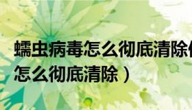 蠕虫病毒怎么彻底清除保留源文件（蠕虫病毒怎么彻底清除）